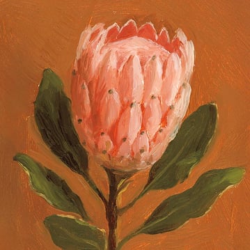 Slider - Botanical Art